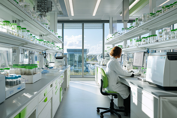 Phase 2 ESA Environmental Site Assessment Lab Analysis